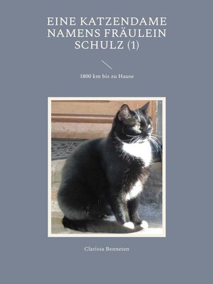 cover image of Eine Katzendame namens Fräulein Schulz